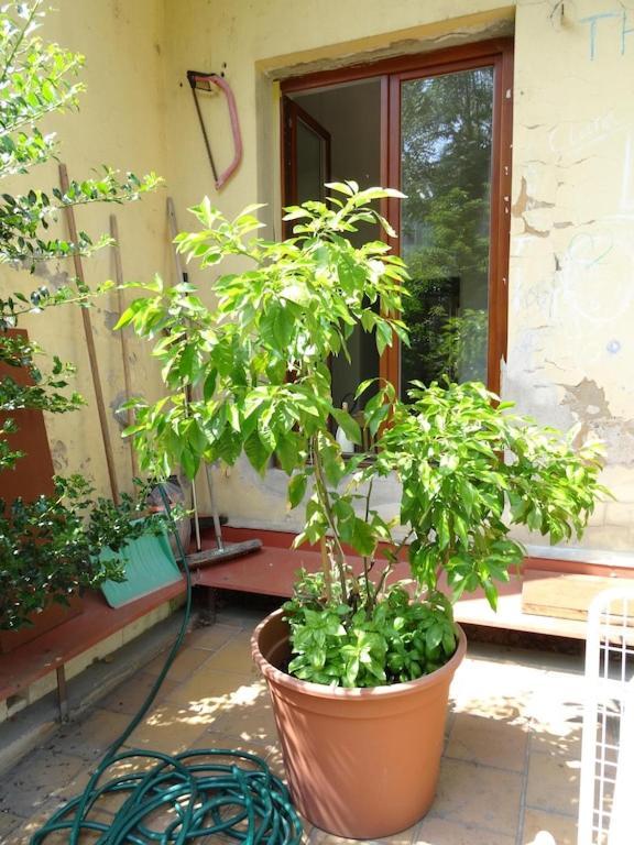 Garden Apartment On Art Nouveau Street In Central Praga Exterior foto